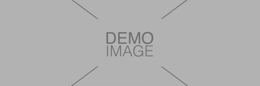 Demo Image 4